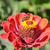 Image-square_50