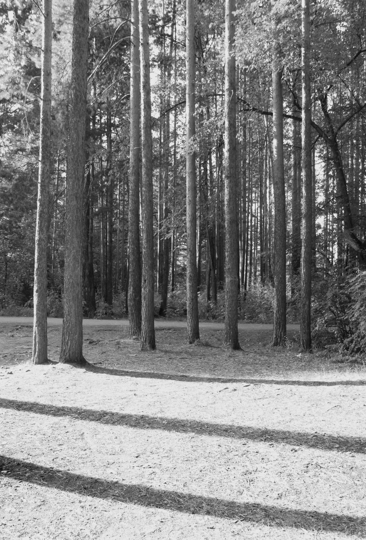 Image-normal