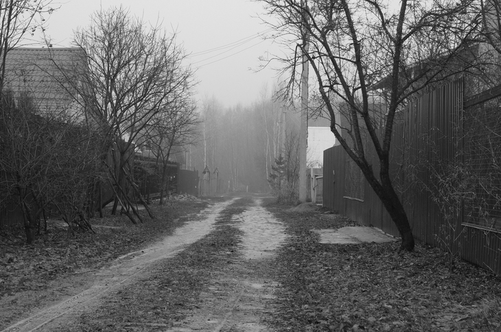 Image-normal