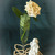 Image-square_50