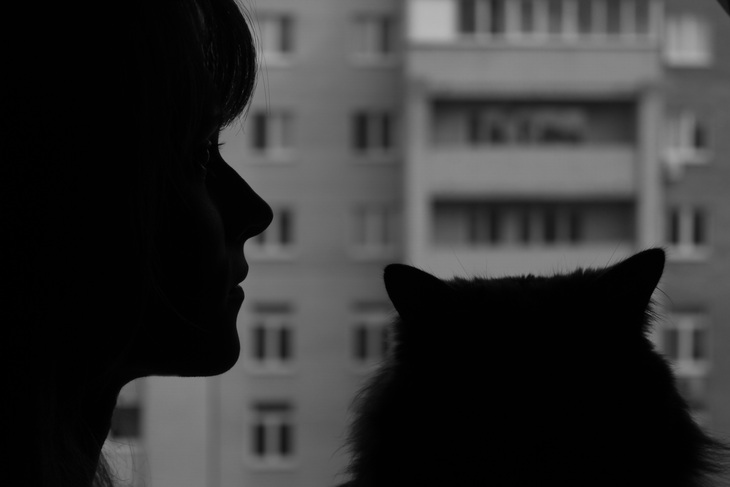 Image-normal