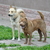 Image-square_50