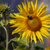 Image-square_50