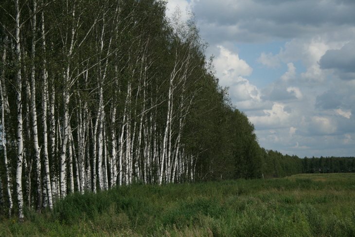 Image-normal