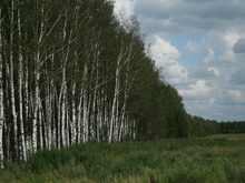 Image-rectangle_220_165