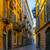 Image-square_50