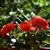 Image-square_50