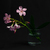 Image-square_50