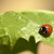 Image-square_50