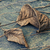 Image-square_50