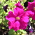 Image-square_50
