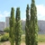 Image-square_50