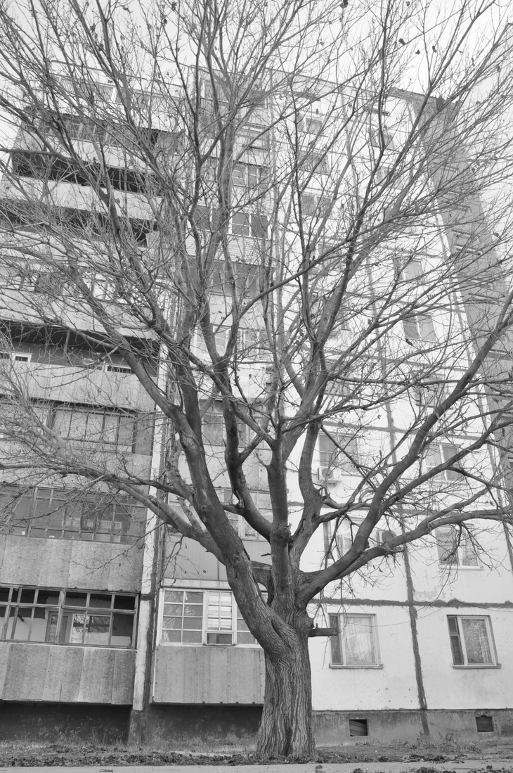 Image-normal