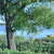 Image-square_50