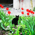 Image-square_50