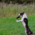 Image-square_50