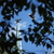 Image-square_50