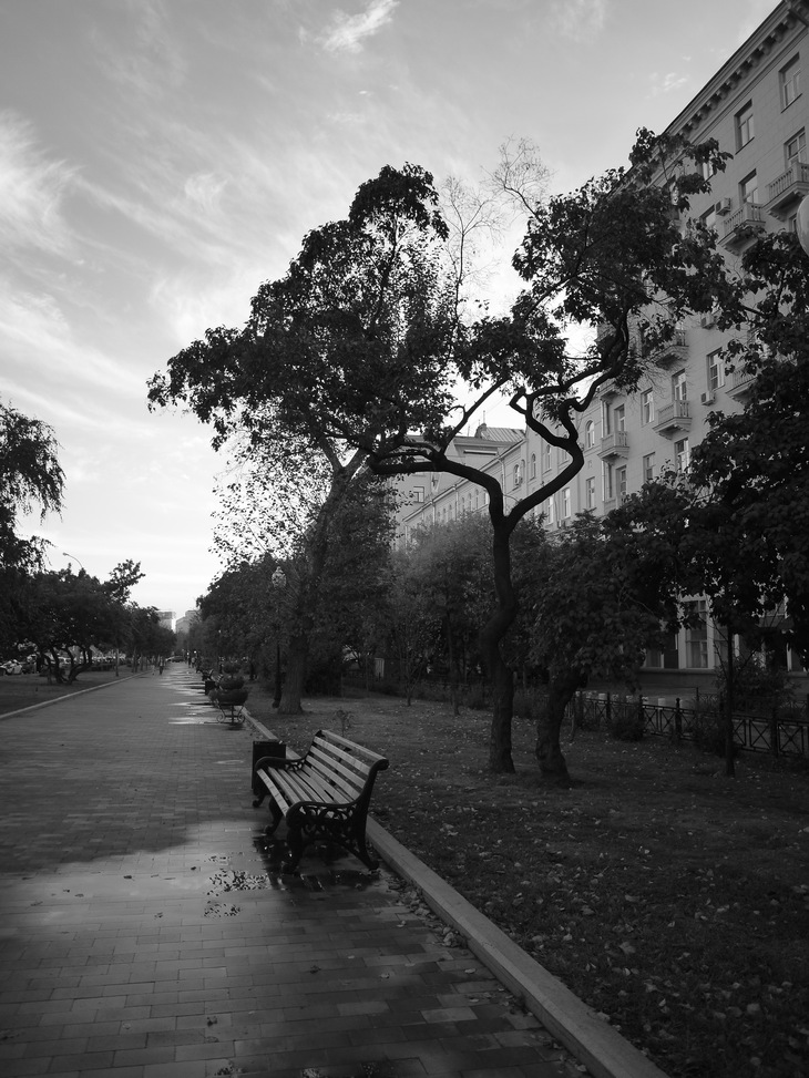Image-normal