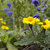 Image-square_50