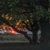 Image-square_50