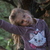 Image-square_50