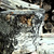 Image-square_50