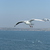 Image-square_50
