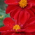 Image-square_50