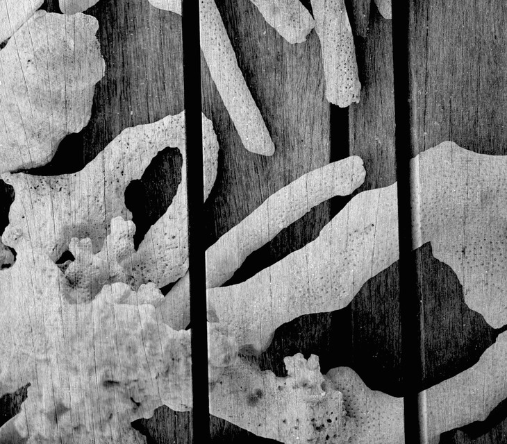 Image-normal