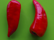 Image-rectangle_220_165