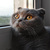 Image-square_50