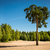 Image-square_50