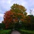 Image-square_50