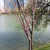 Image-square_50