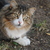Image-square_50