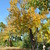 Image-square_50