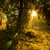 Image-square_50