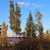 Image-square_50