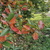 Image-square_50