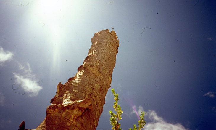 Image-normal