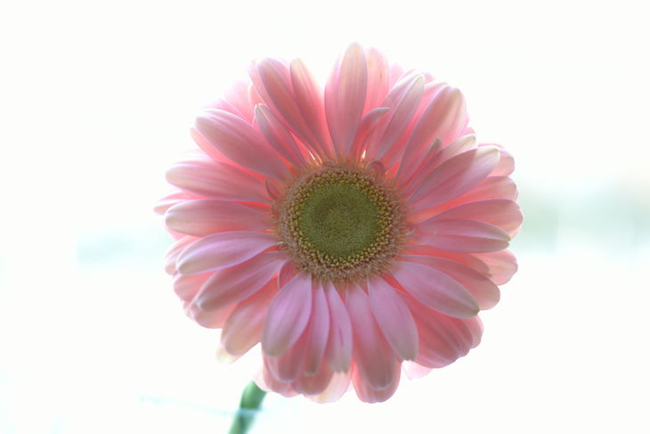 Image-normal