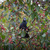 Image-square_50