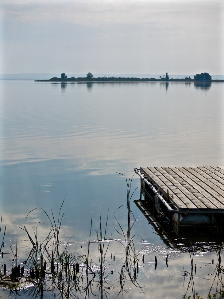 Image-normal