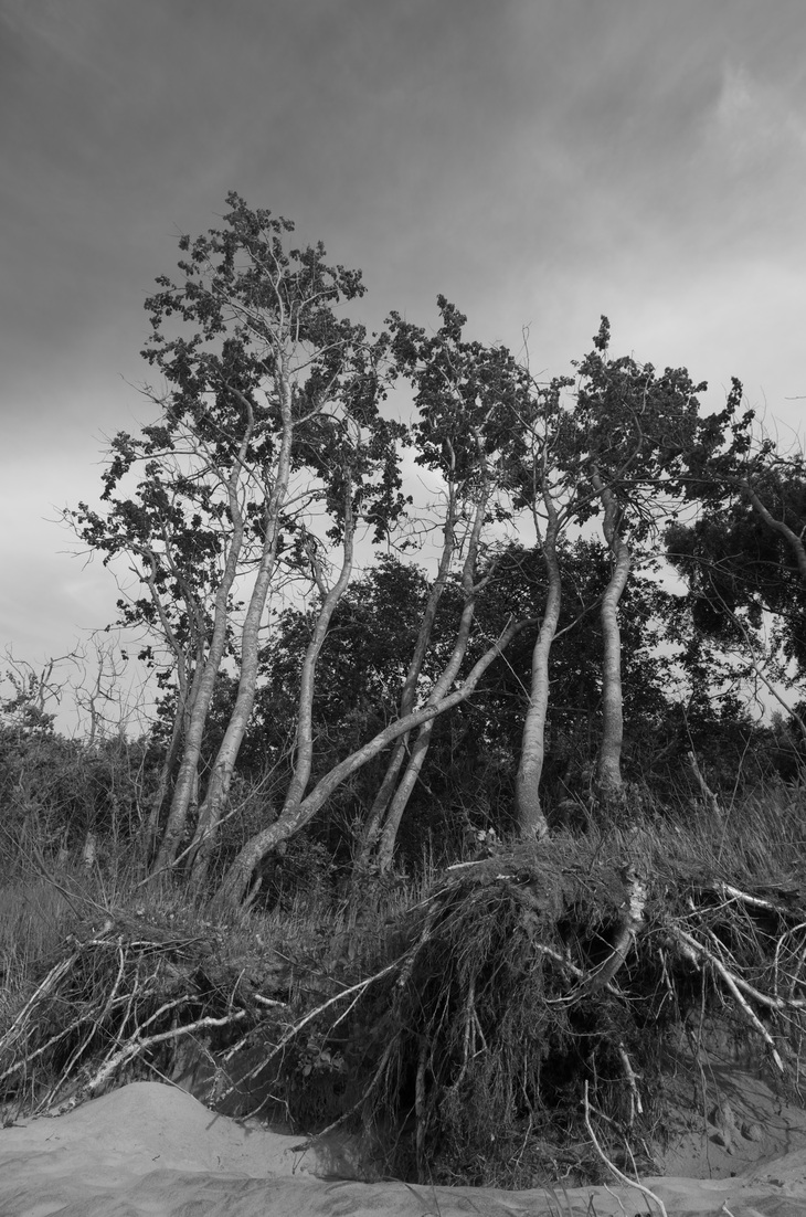 Image-normal