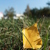 Image-square_50