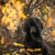 Image-square_50