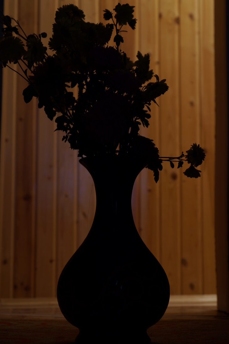 Image-normal