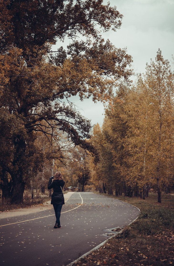 Image-normal