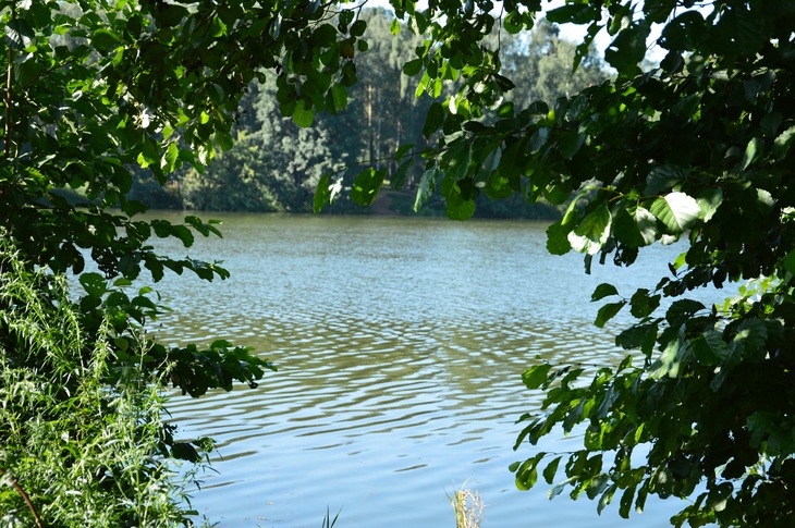 Image-normal