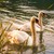 Image-square_50